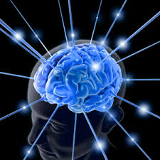 brainimages