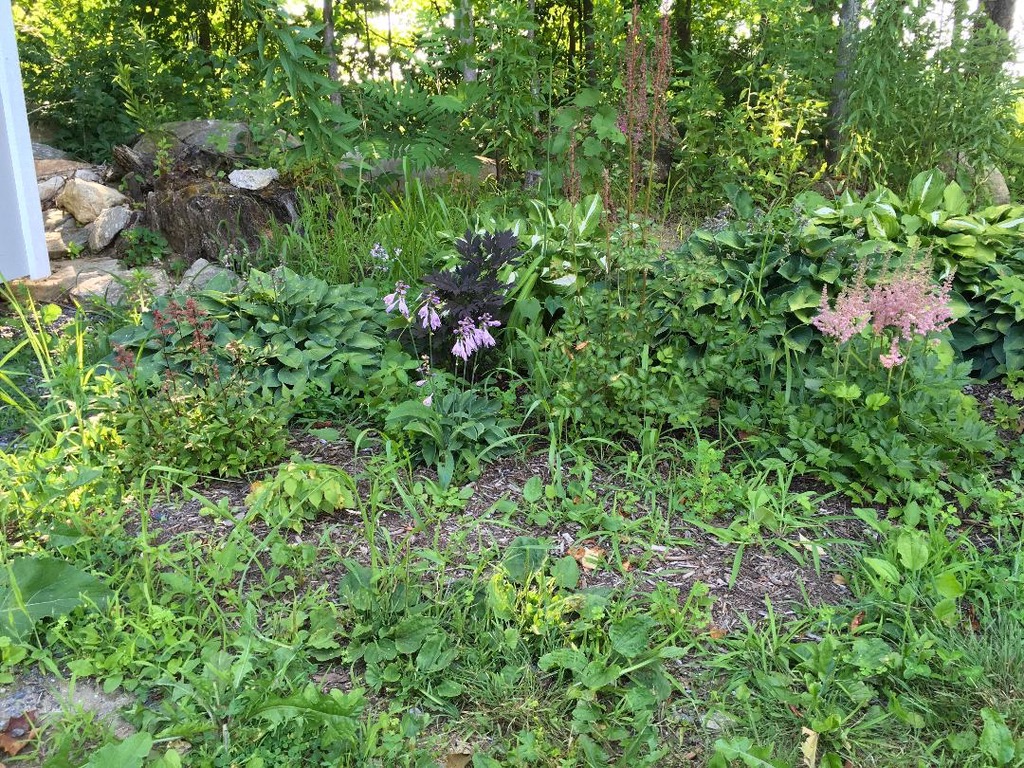 Sweat Equity….Literally